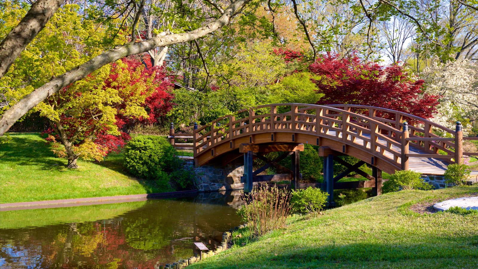 Dubuque Arboretum and Botanical Gardens