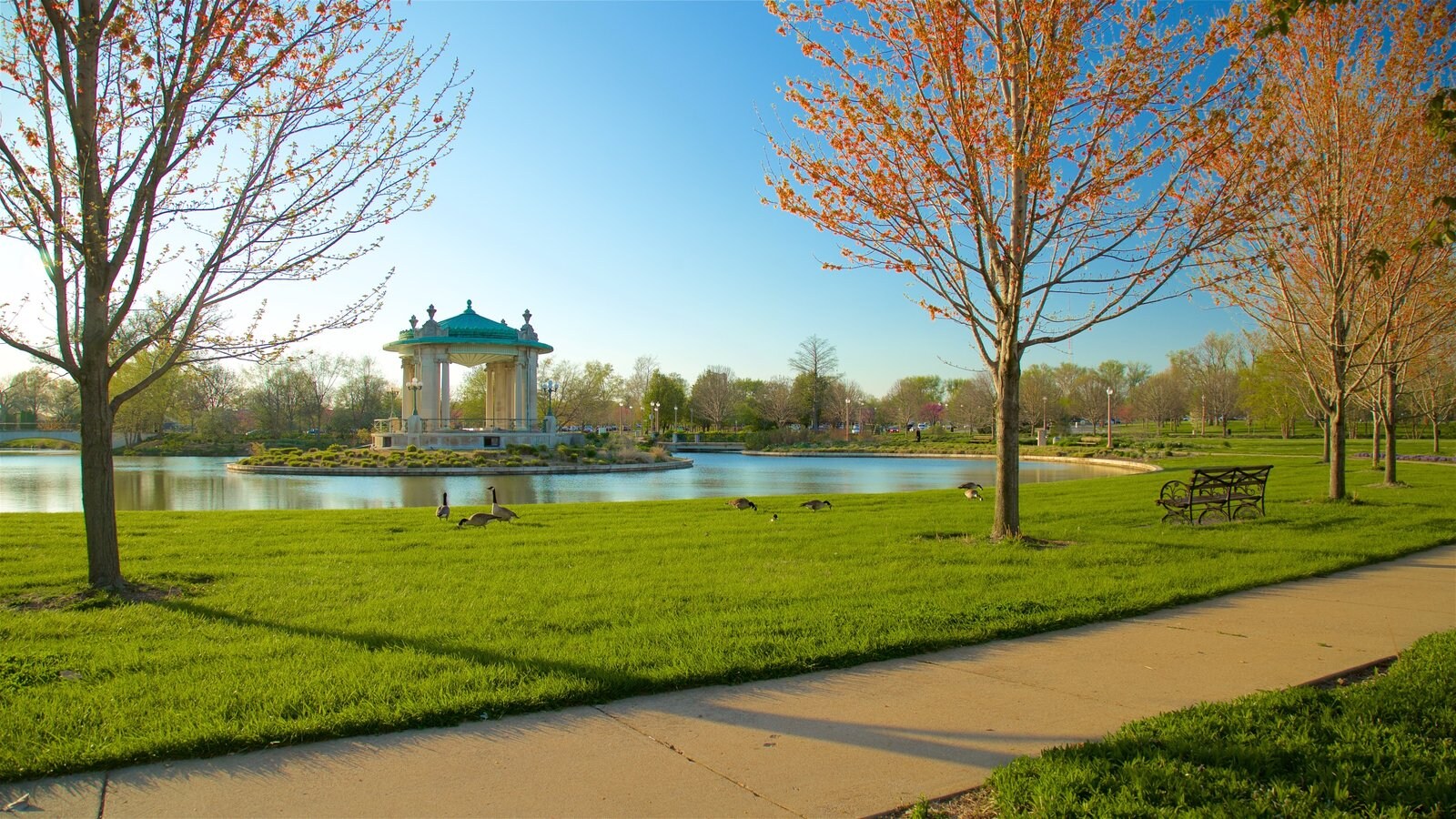 Gardens & Parks Pictures: View Images of Forest Park