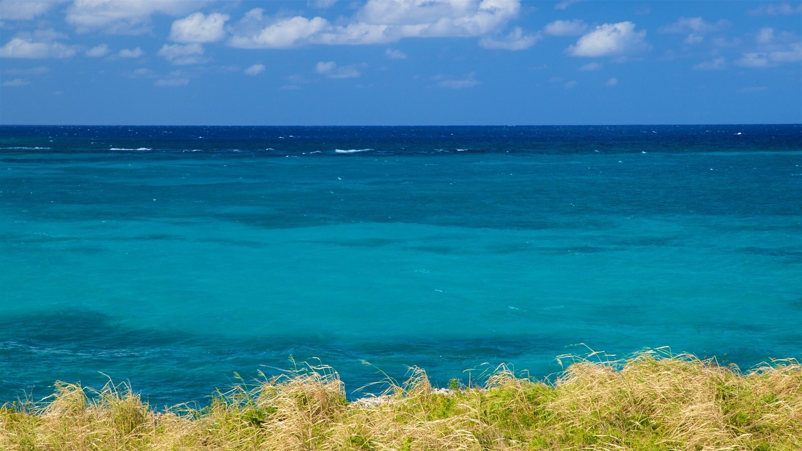 Playas del Este