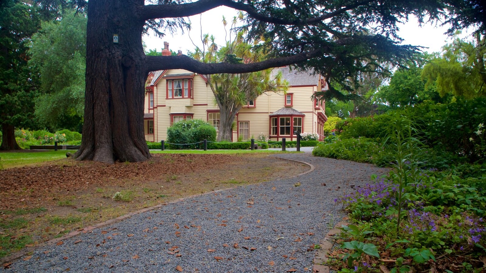 Christchurch mostrando un parque y una casa