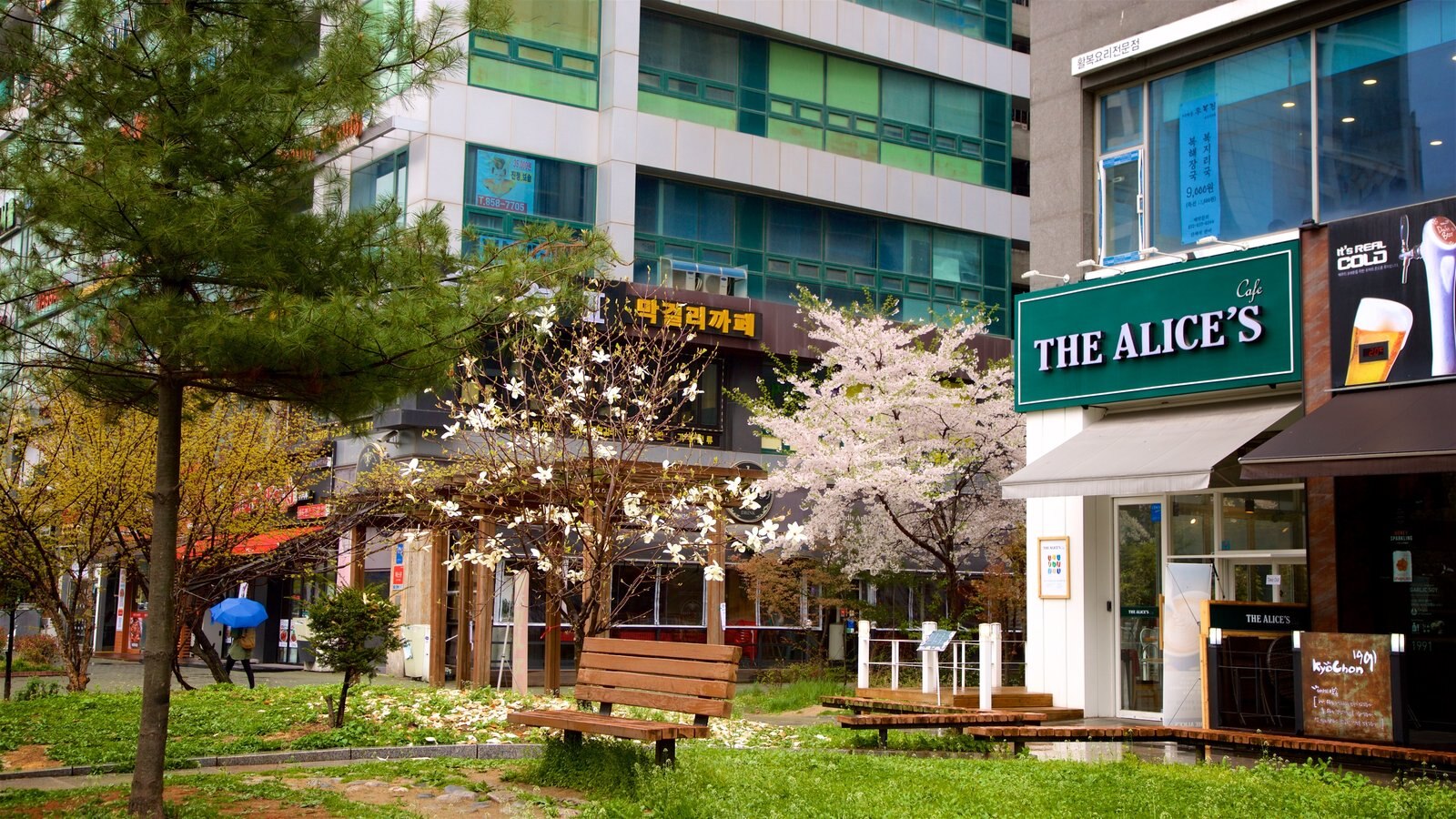 Incheon som inkluderar blommor, skyltar och en park