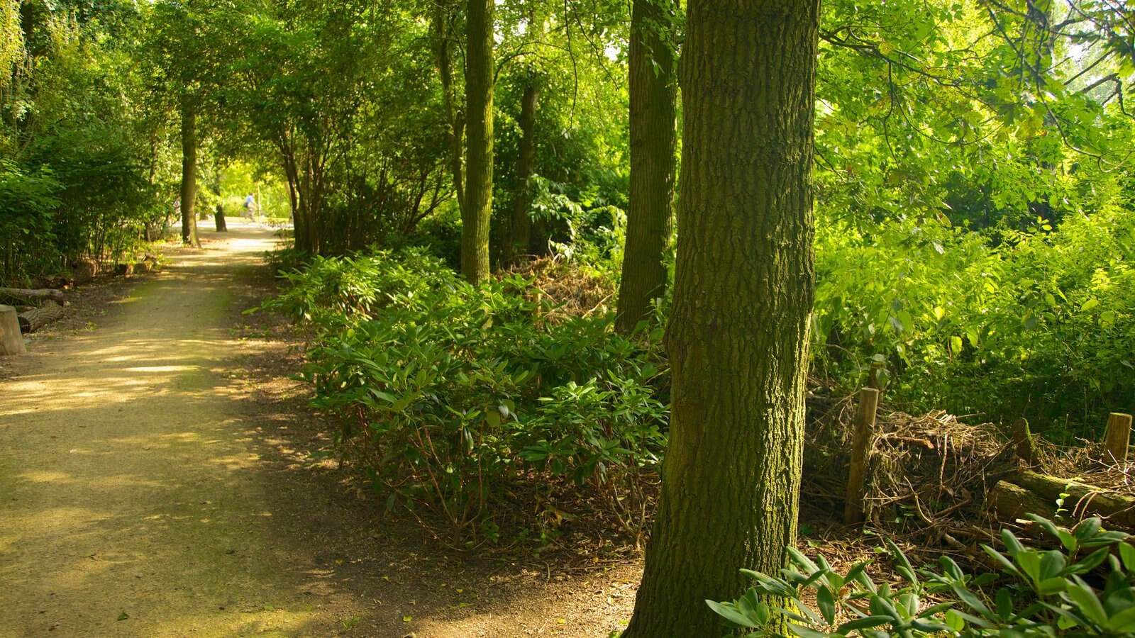 Ámsterdam que incluye un jardín