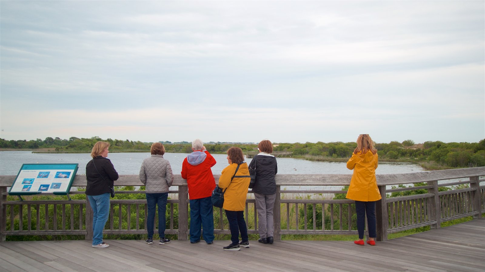 Cape May Point State Park which includes a river or creek, views and signage