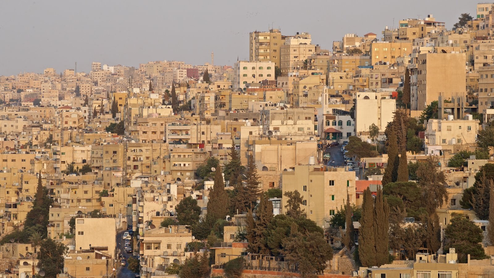 Amman featuring a city and landscape views