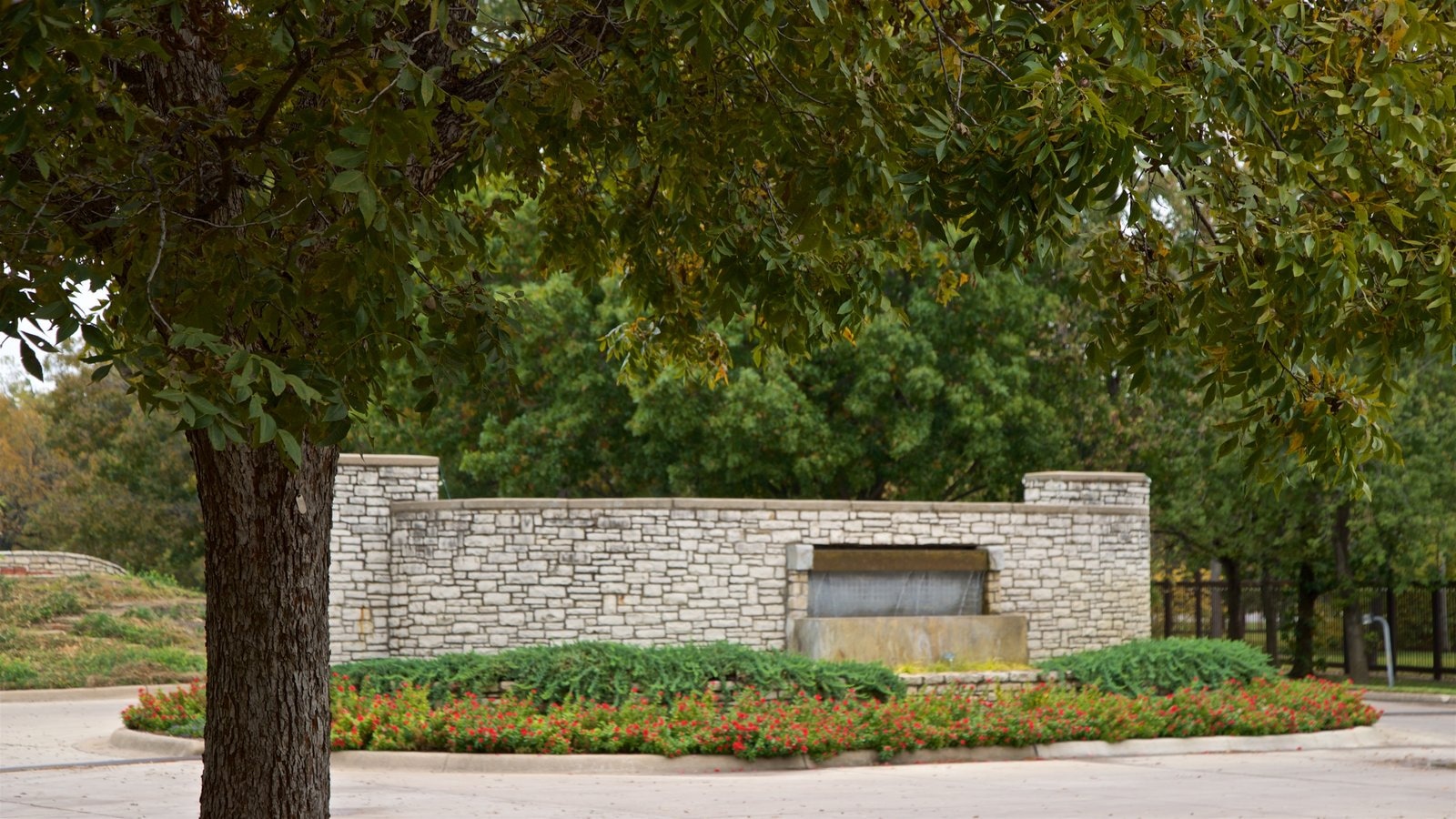 สวนพฤกษชาติ Fort Worth ซึ่งรวมถึง สวน และ ดอกไม้ป่า