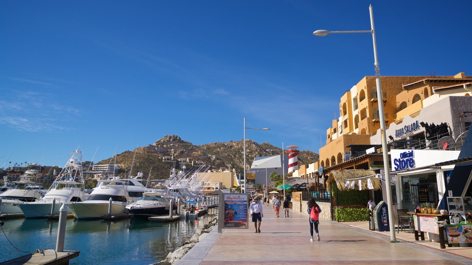 Marina que incluye una localidad costera y una bahía o un puerto