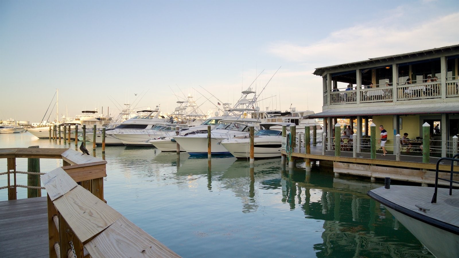Key West presenterar en hamn eller havsbukt och en solnedgång