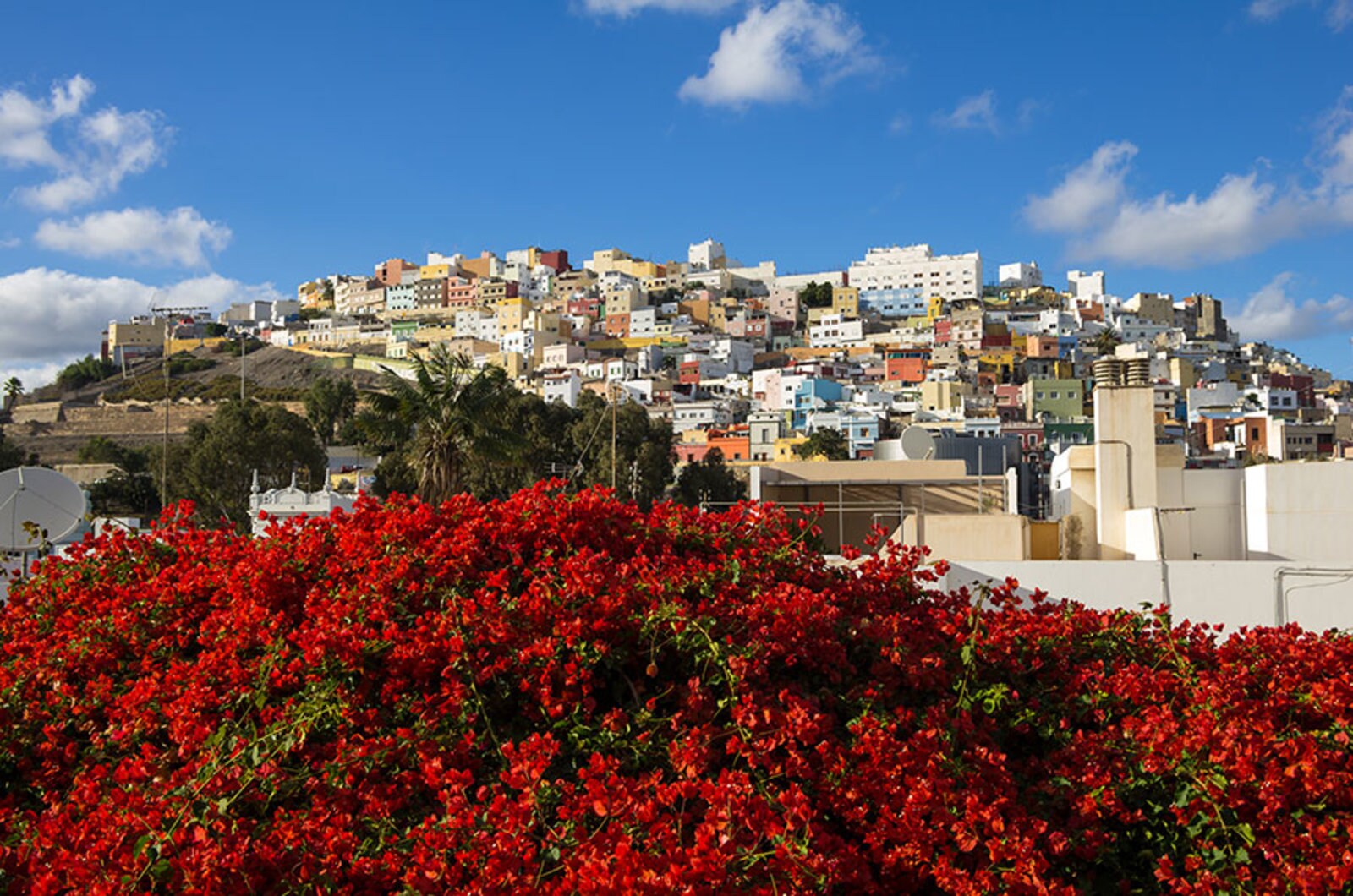 Le 10 cose da vedere a Gran Canaria