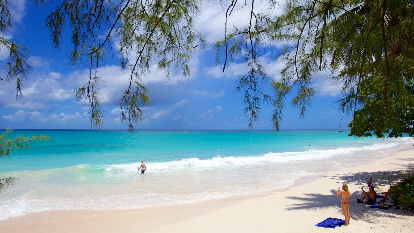 Miami Beach Which Includes Tropical Scenes A Beach And Landscape Views Miami Beach Which Includes Tropical Scenes A Beach And Landscape Views