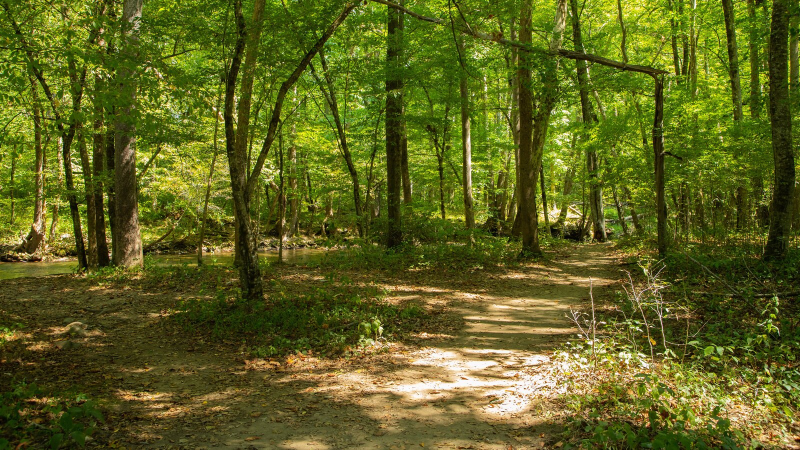 Cherokee featuring a park
