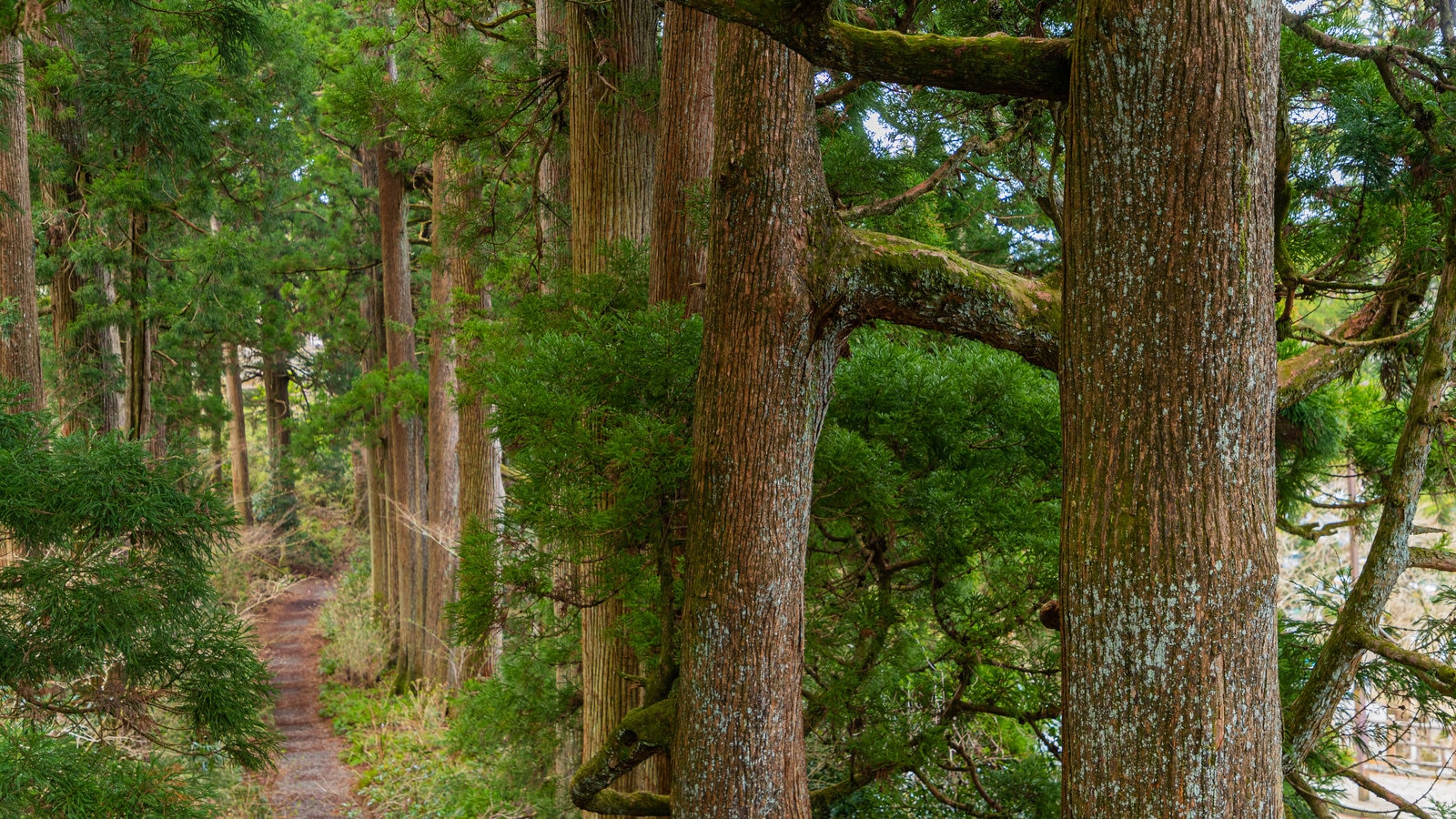 Hakone