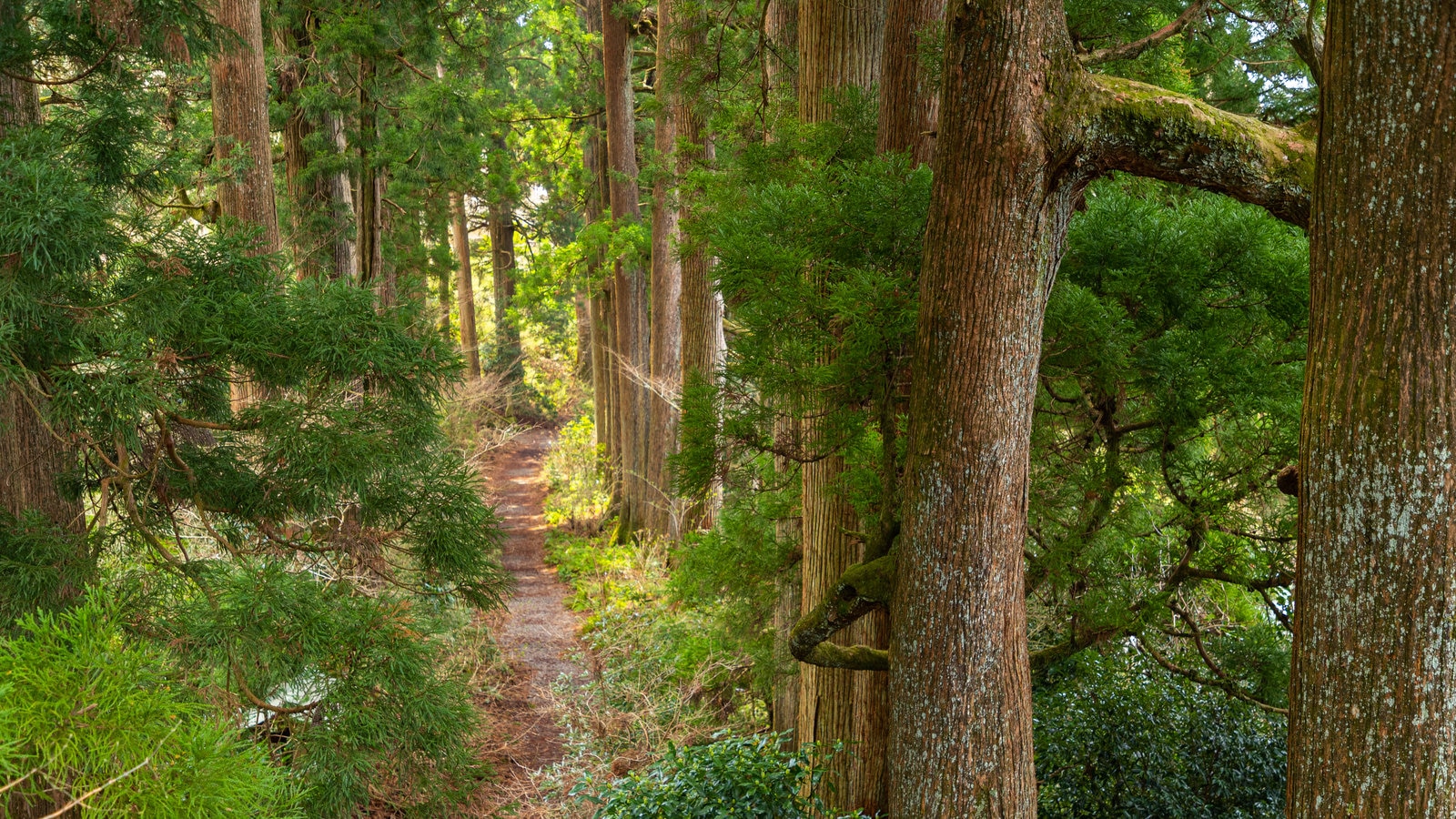 Hakone