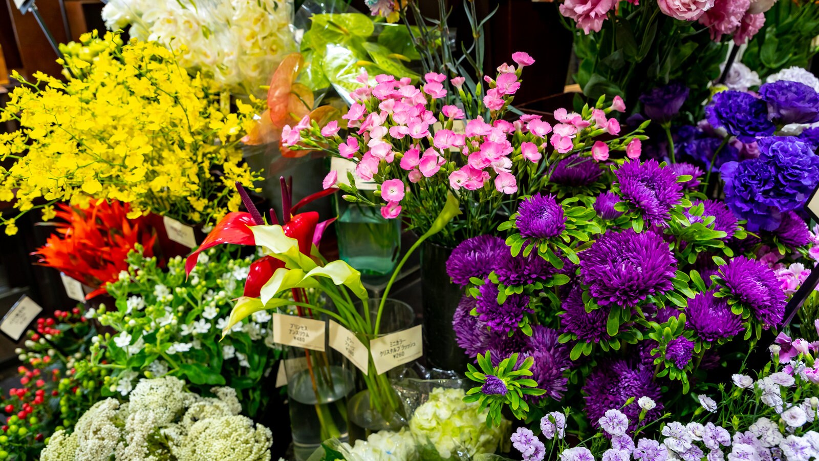 Toyooka bevat bloemen