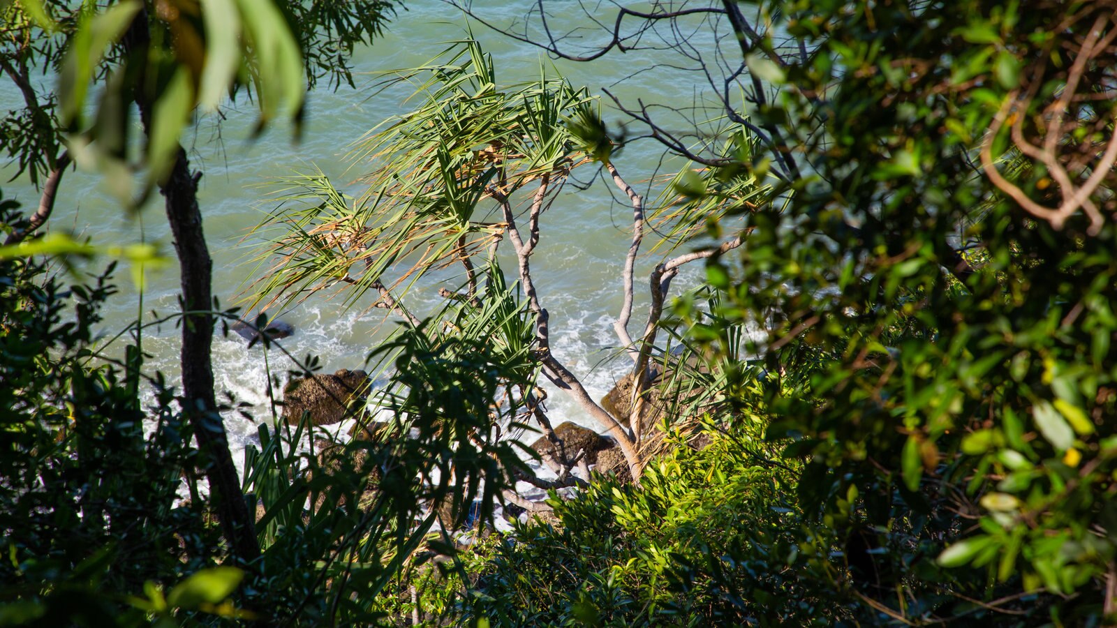 Port Douglas