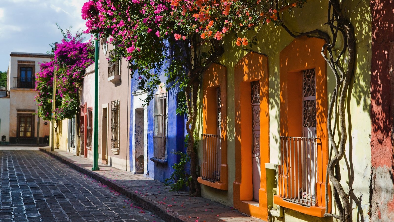 Flowers Pictures View Images of Queretaro