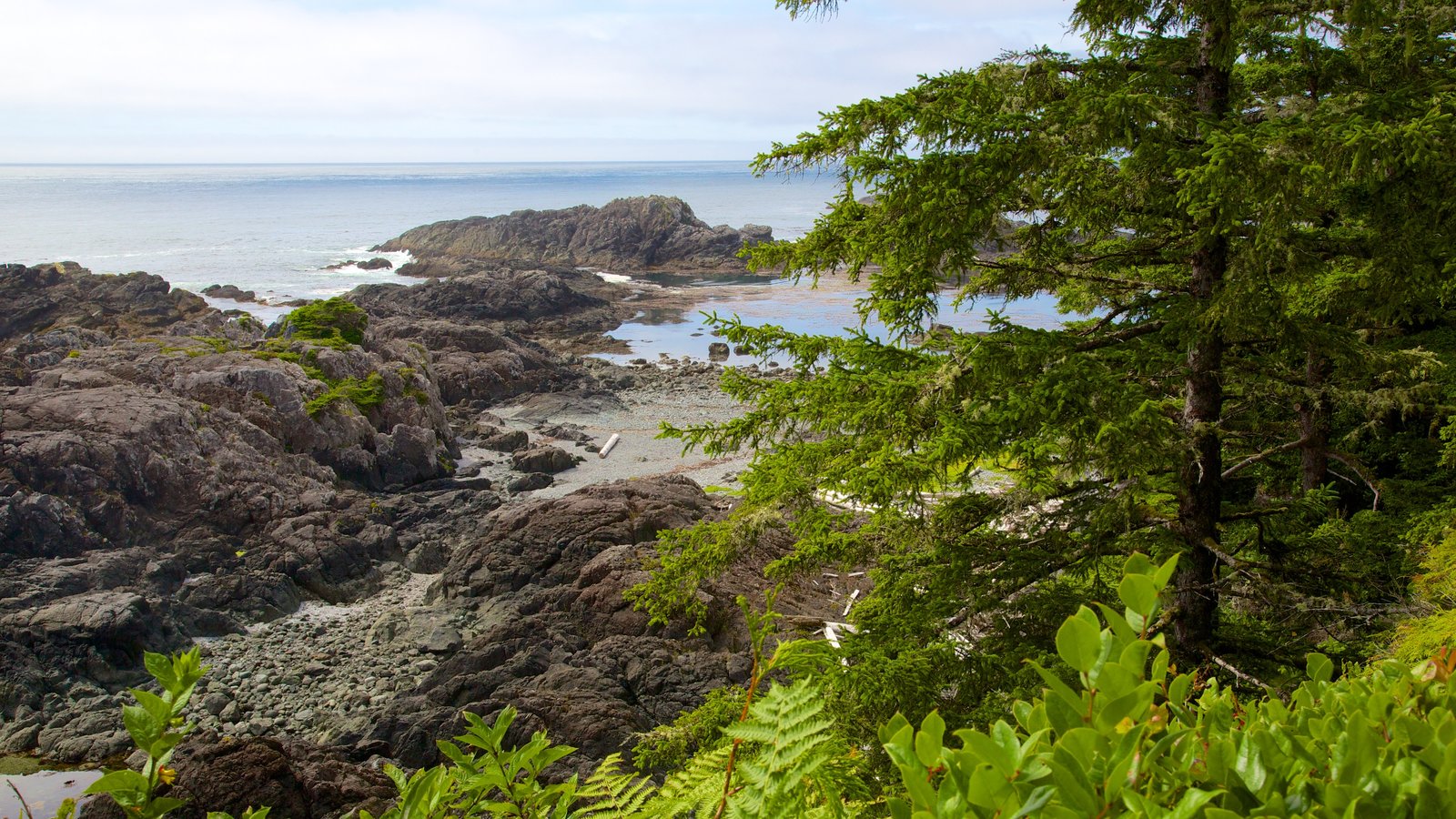 Peaceful Pictures: View Images of Pacific Rim National Park Reserve