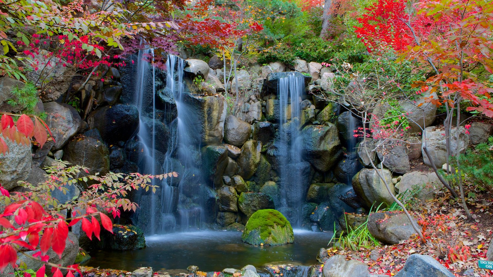 Fall Pictures View Images Of Anderson Japanese Gardens