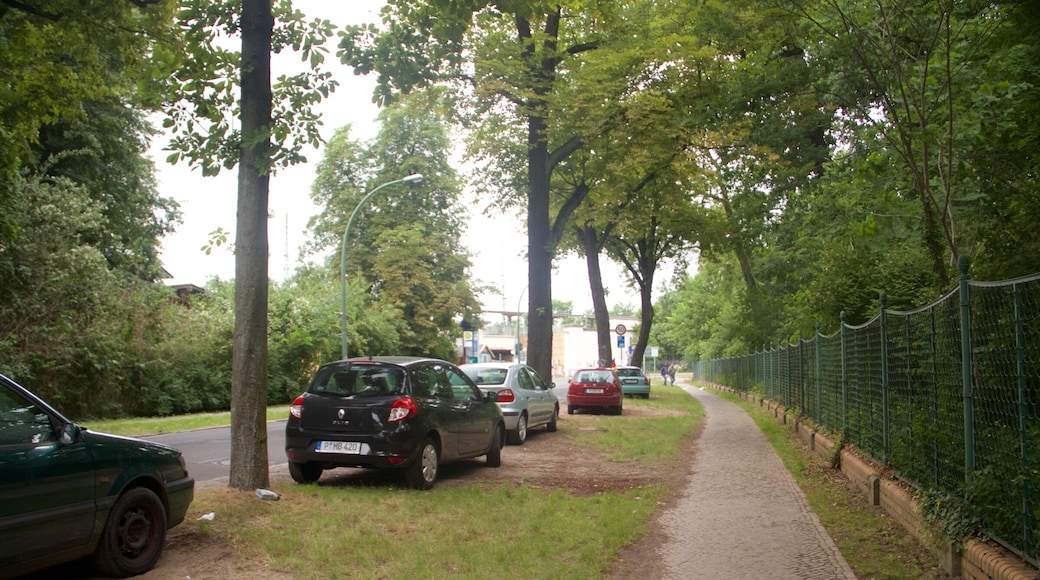 Parque Sanssouci ofreciendo un parque