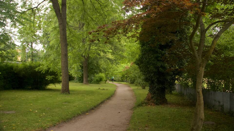Sanssouci-parken som omfatter en park