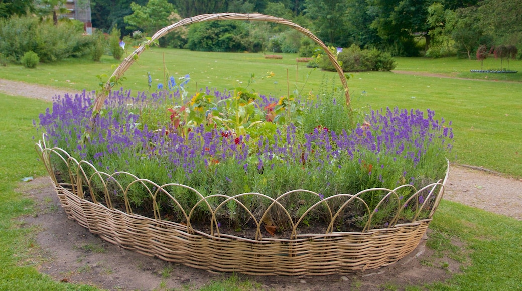 Babelsberg Park som inkluderar blommor och en trädgård