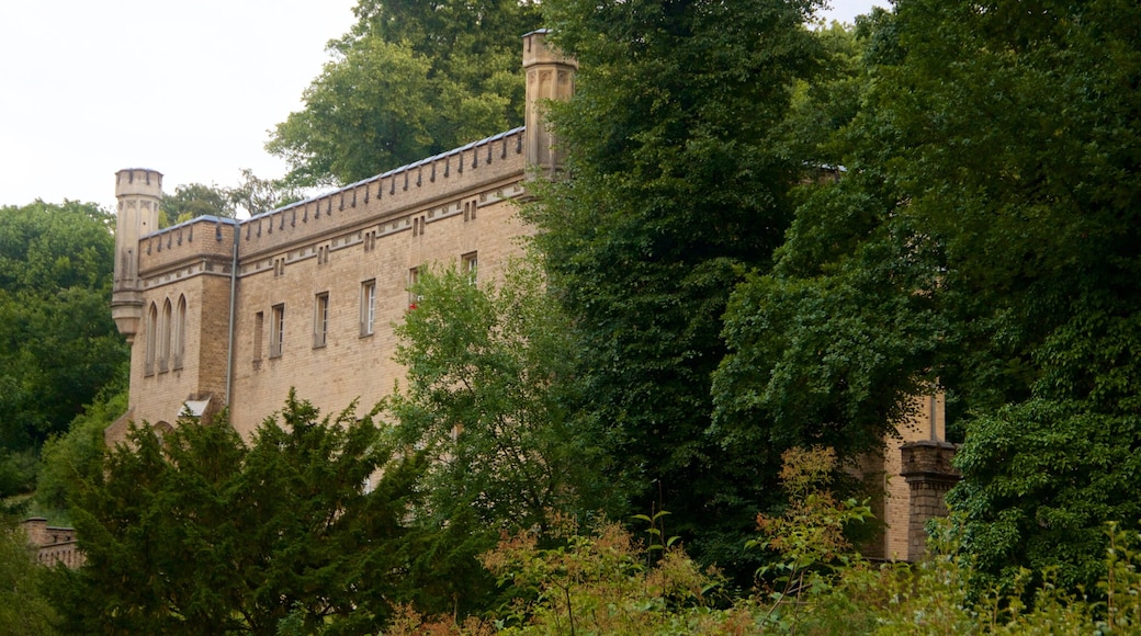 Park Babelsberg mostrando parco, architettura d\'epoca e oggetti d\'epoca