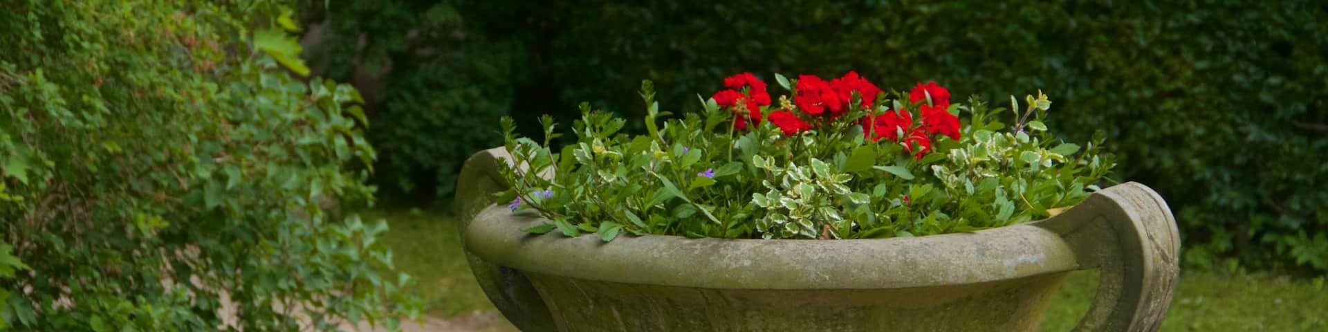 Chinese Tea House which includes a garden and flowers