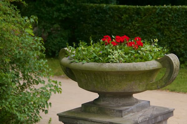 Chinesisches Haus welches beinhaltet Garten und Blumen