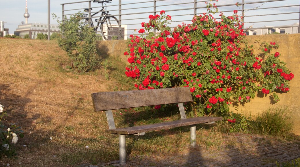 Spreebogenpark mostrando um jardim e flores