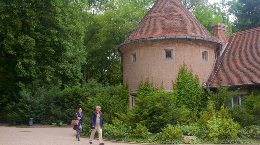 Potsdam featuring a garden