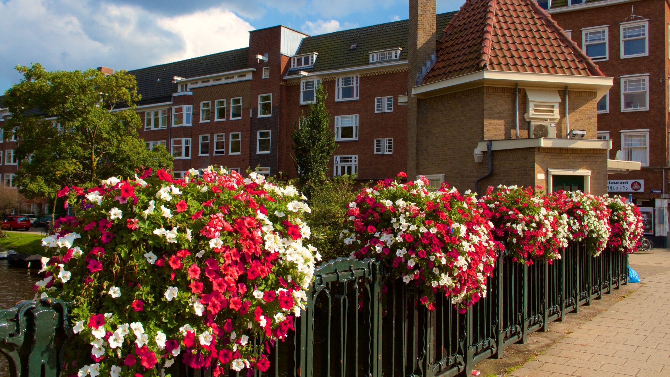 Amsterdam Southeast featuring heritage architecture and flowers