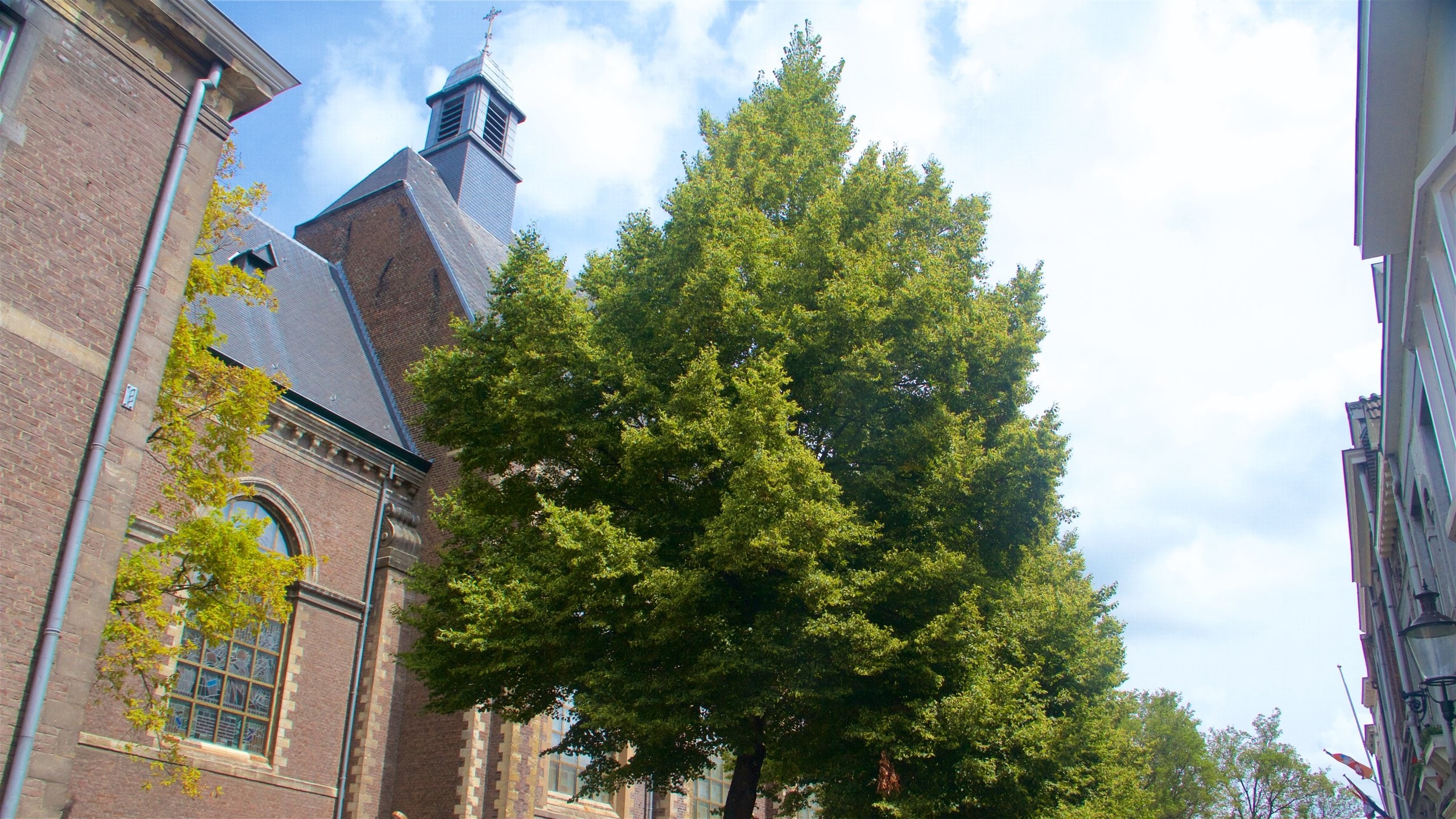 Maastricht which includes heritage architecture
