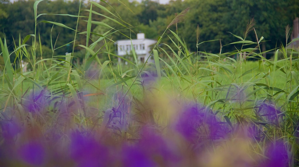 Breukelen som inkluderer blomster