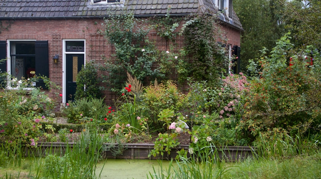 Breukelen showing a house and flowers