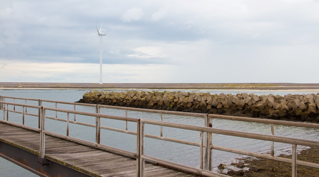 Vrouwenpolder featuring general coastal views