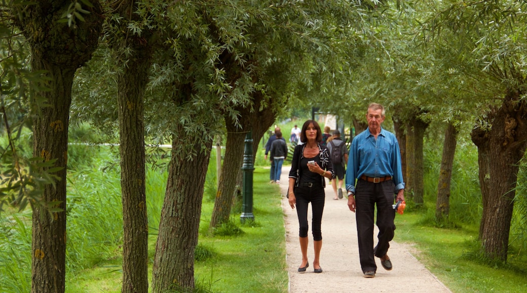 Zaanse Schans som viser vandring eller gåture og en park såvel som et par