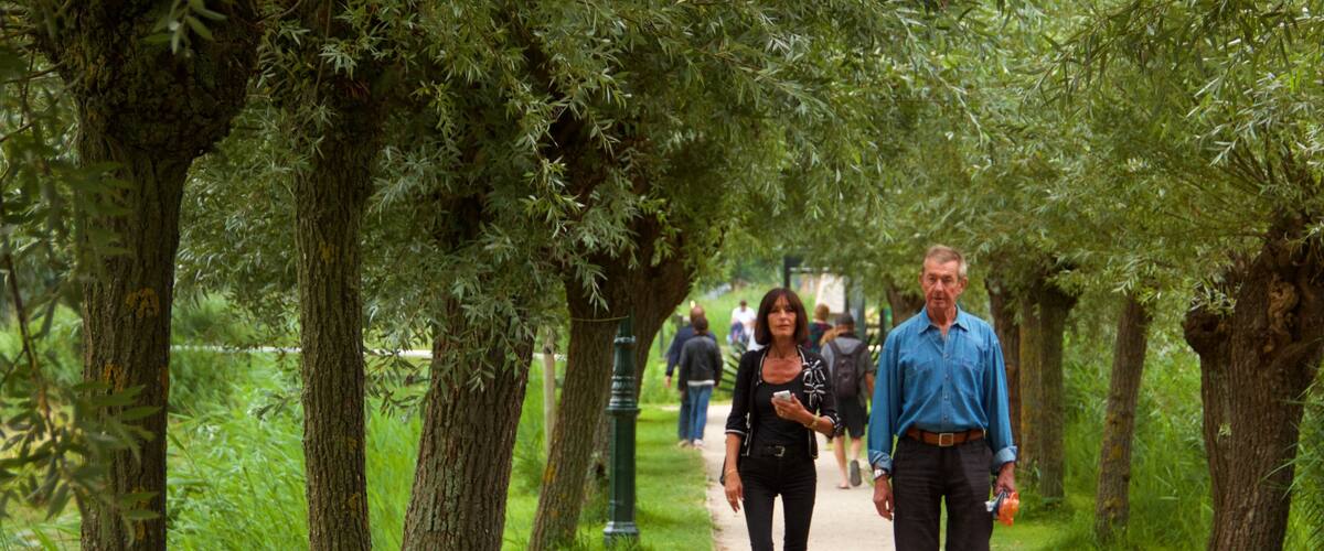 Zaanse Schans que incluye senderismo o caminata y un jardín y también una pareja