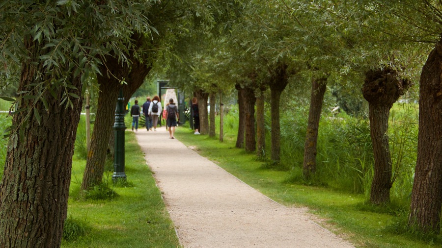 Zaanse Schans som inkluderar en park