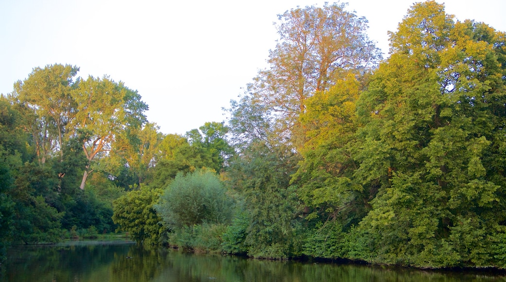 Vondelpark which includes a lake or waterhole and a park