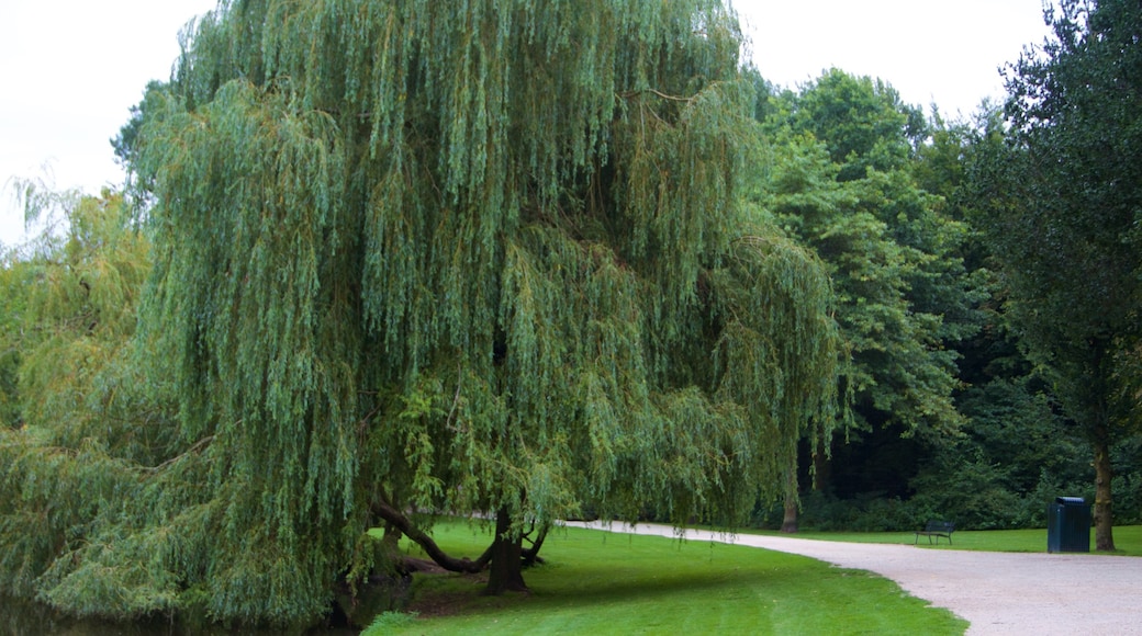 Sarphatipark featuring a garden