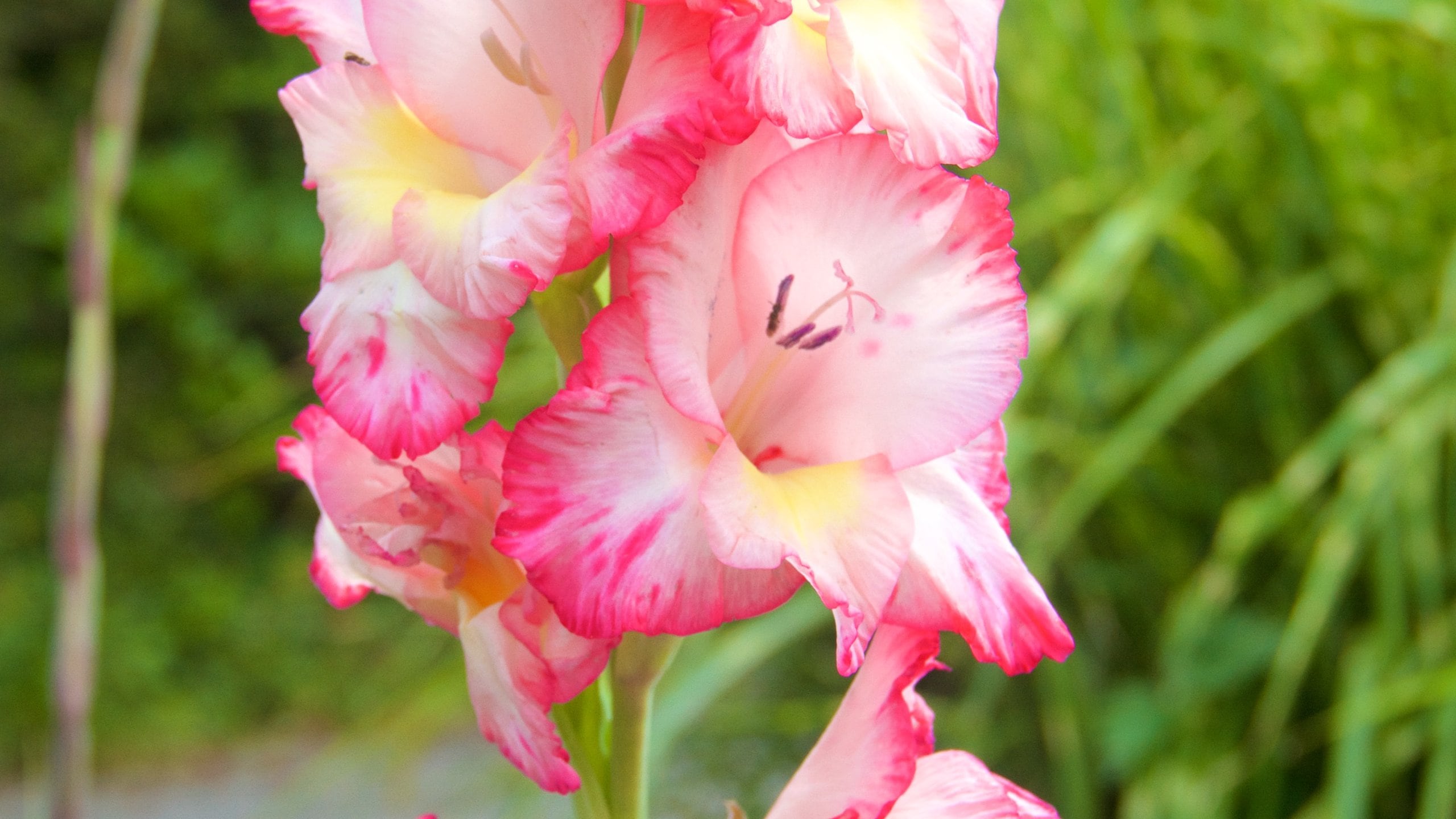 Visit ThononlesBains 2020 Travel Guide for ThononlesBains