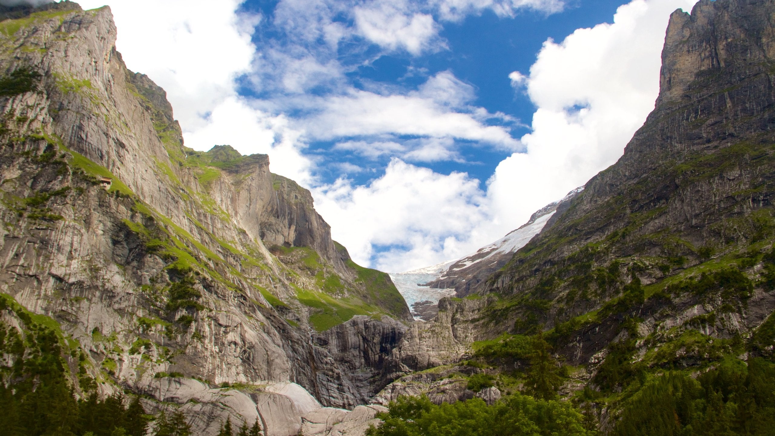Grindelwald which includes mountains