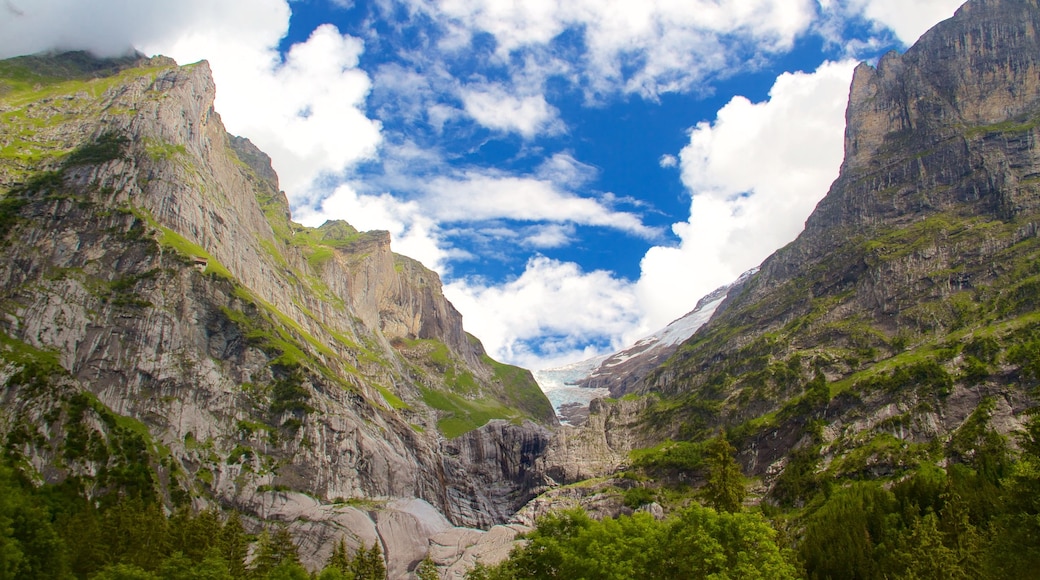 Grindelwald featuring mountains