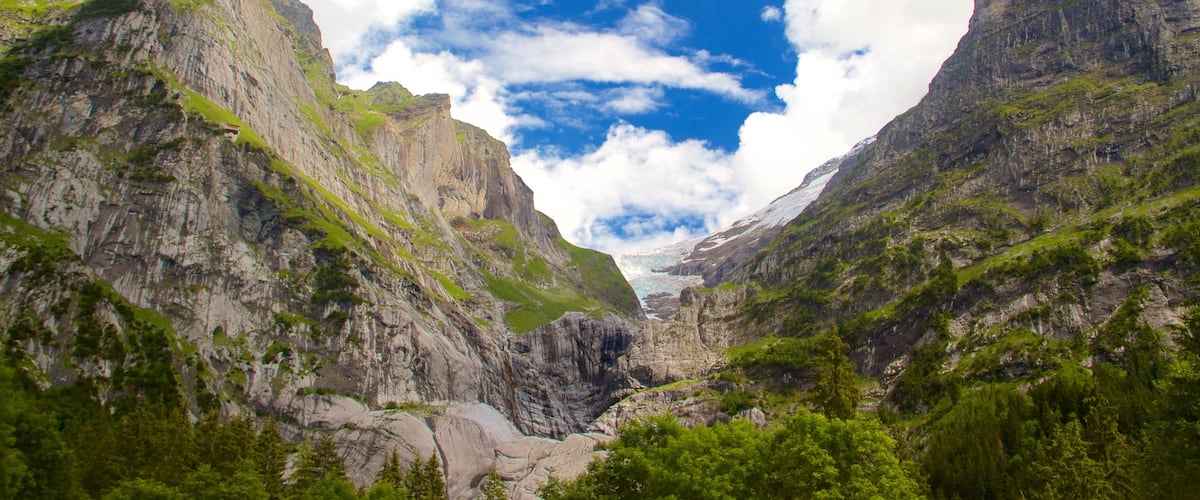 Grindelwald featuring mountains
