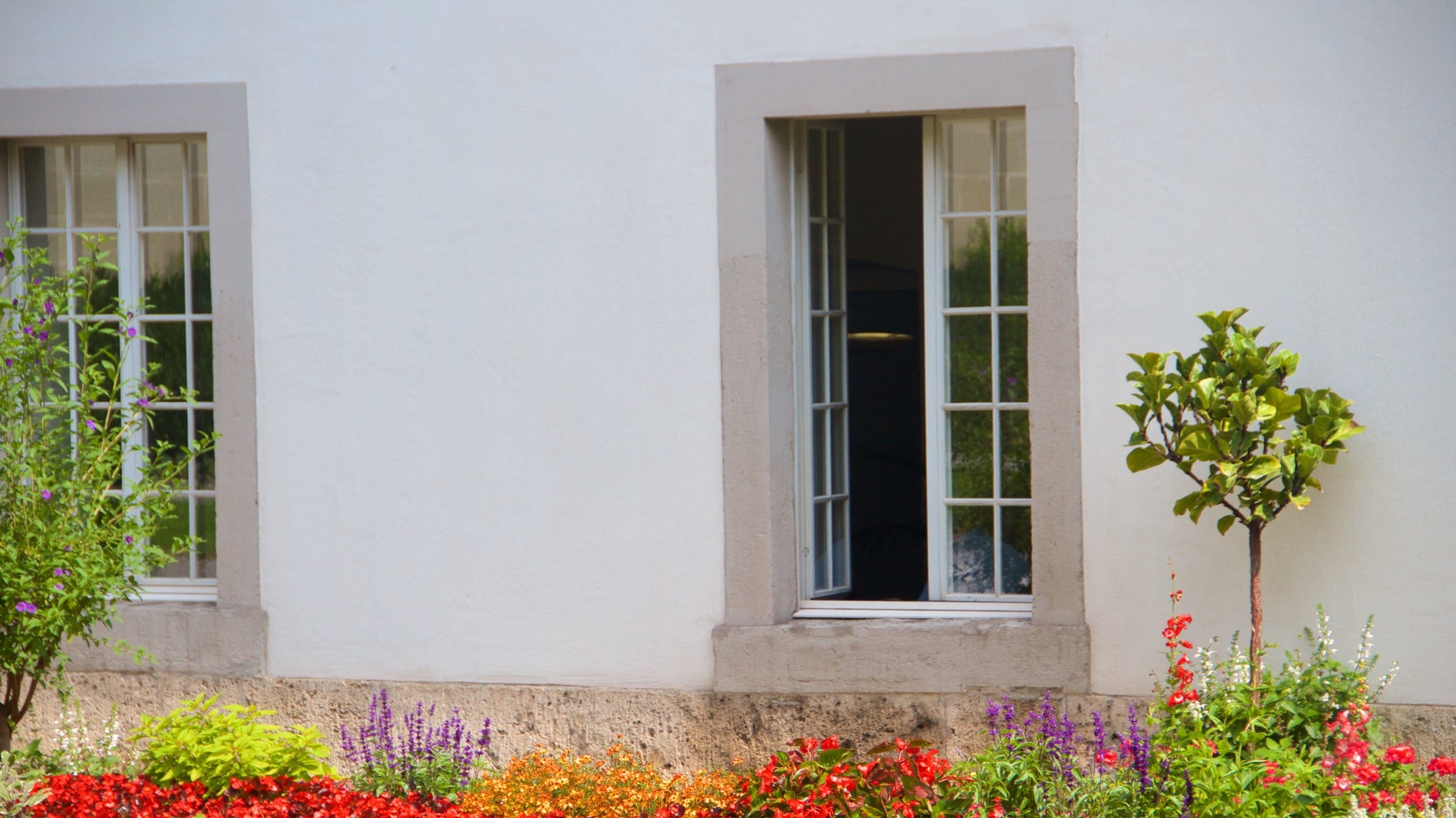 Fribourg which includes a park, a house and wildflowers