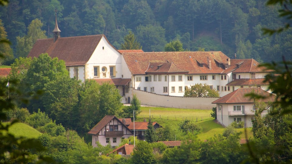 Fribourg featuring a house and a small town or village
