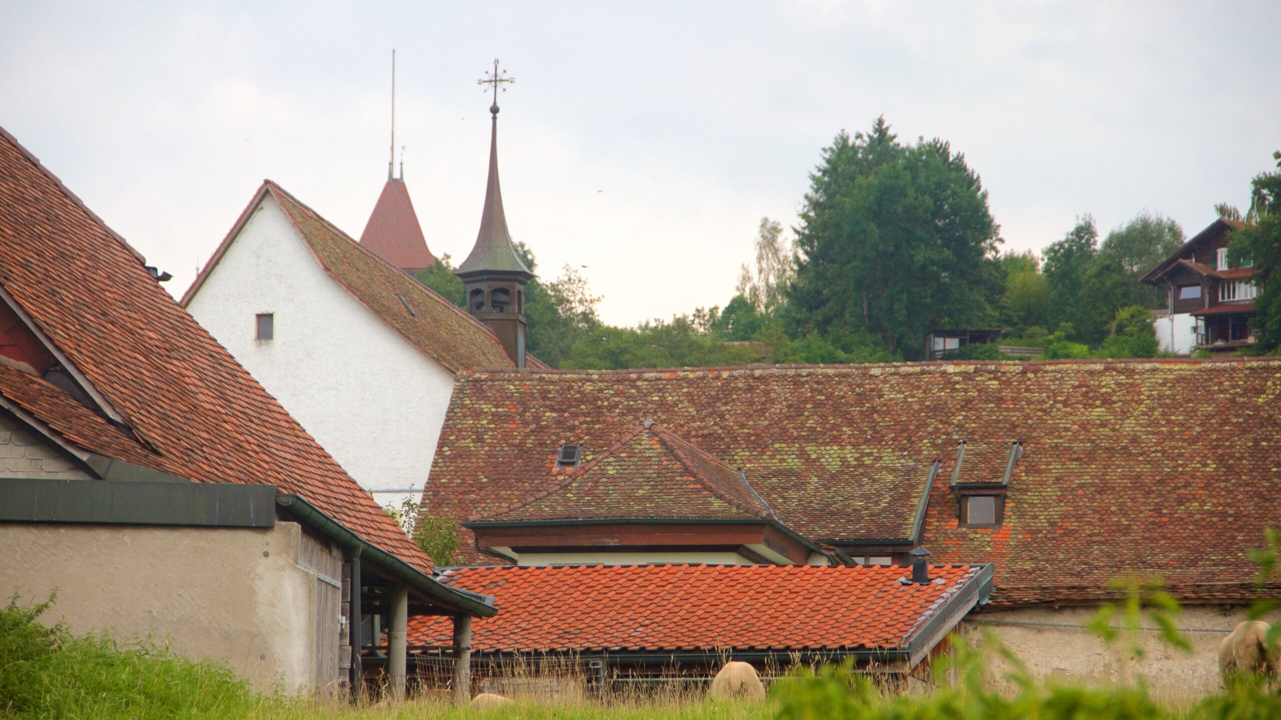 Fribourg featuring a small town or village