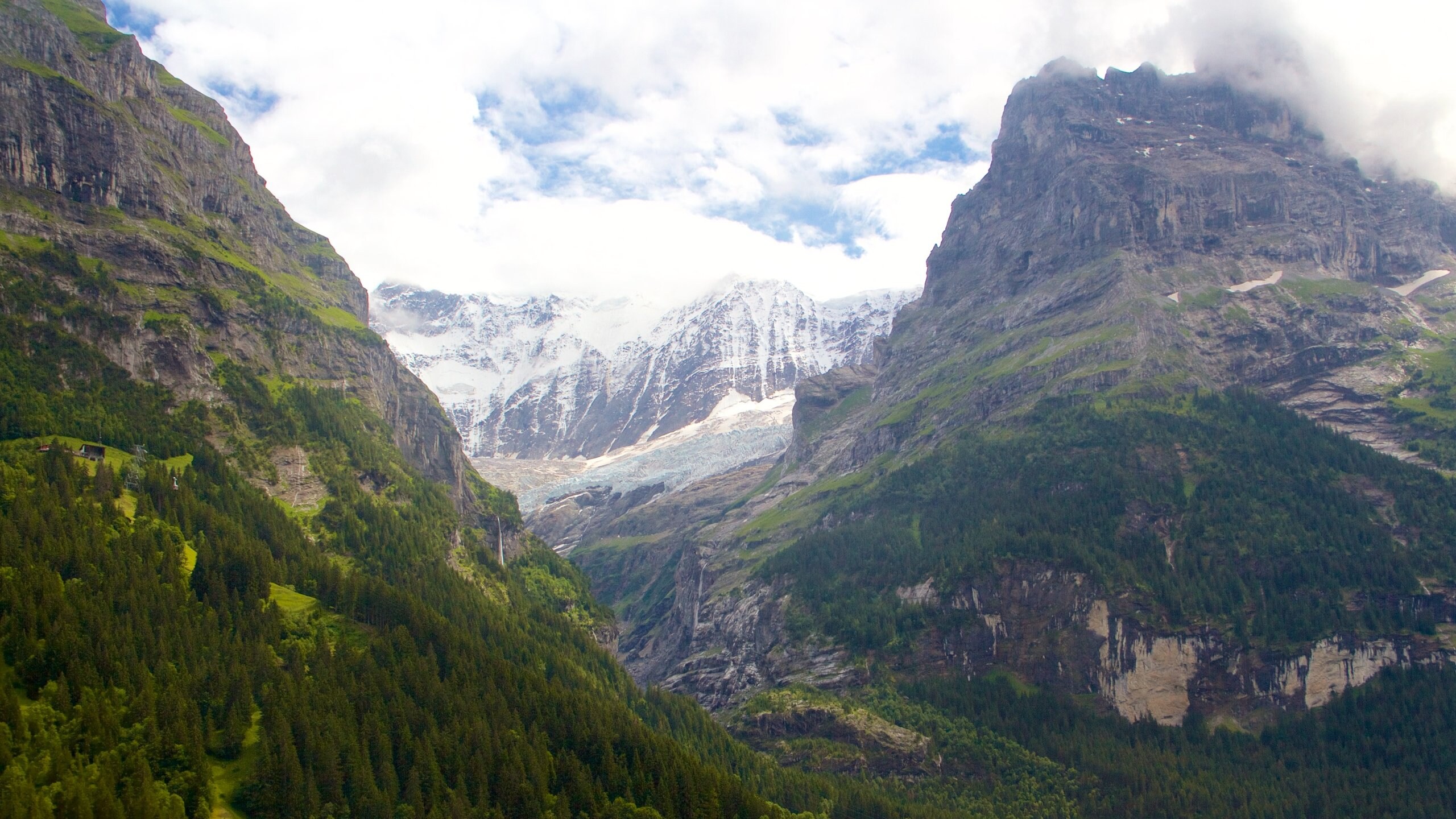 Grindelwald featuring mountains
