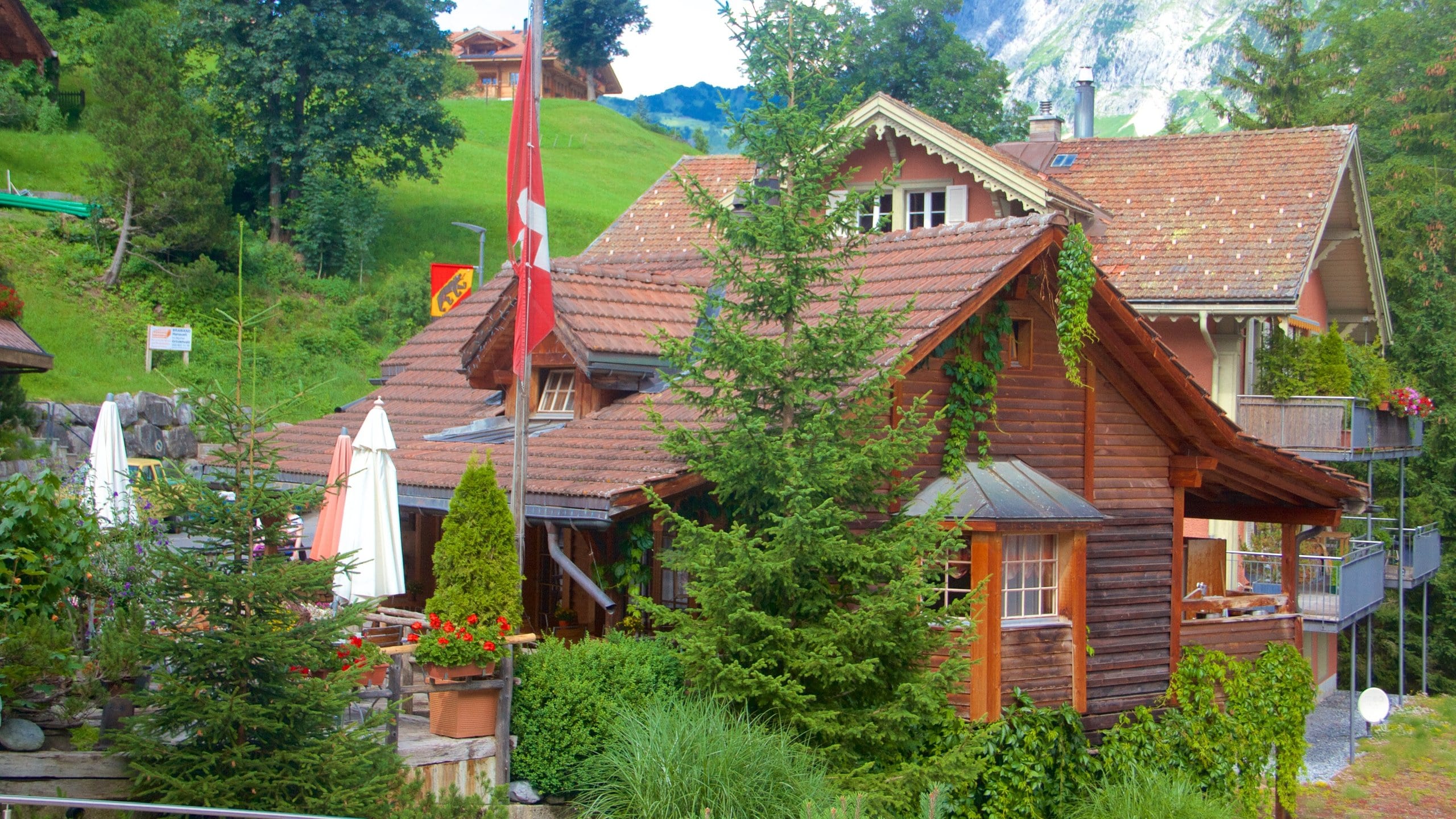 Grindelwald featuring mountains and a house