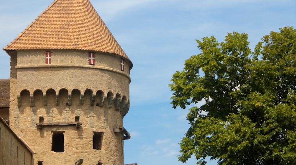 Chateau de Chillon fasiliteter samt slott, kulturarv og historisk arkitektur