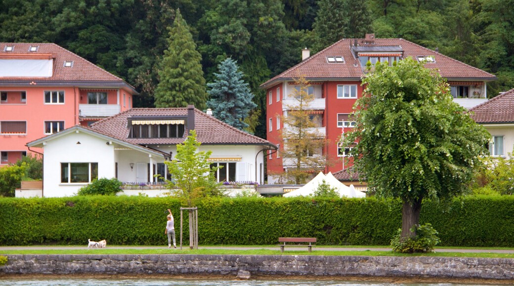 Schadaupark mostrando una pequeña ciudad o pueblo y una casa